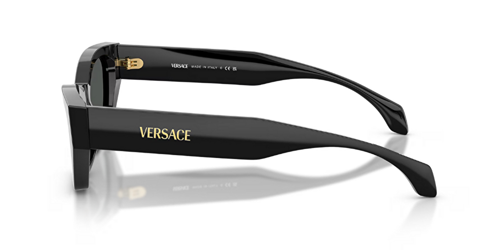 VERSACE VE4488U Güneş Gözlüğü