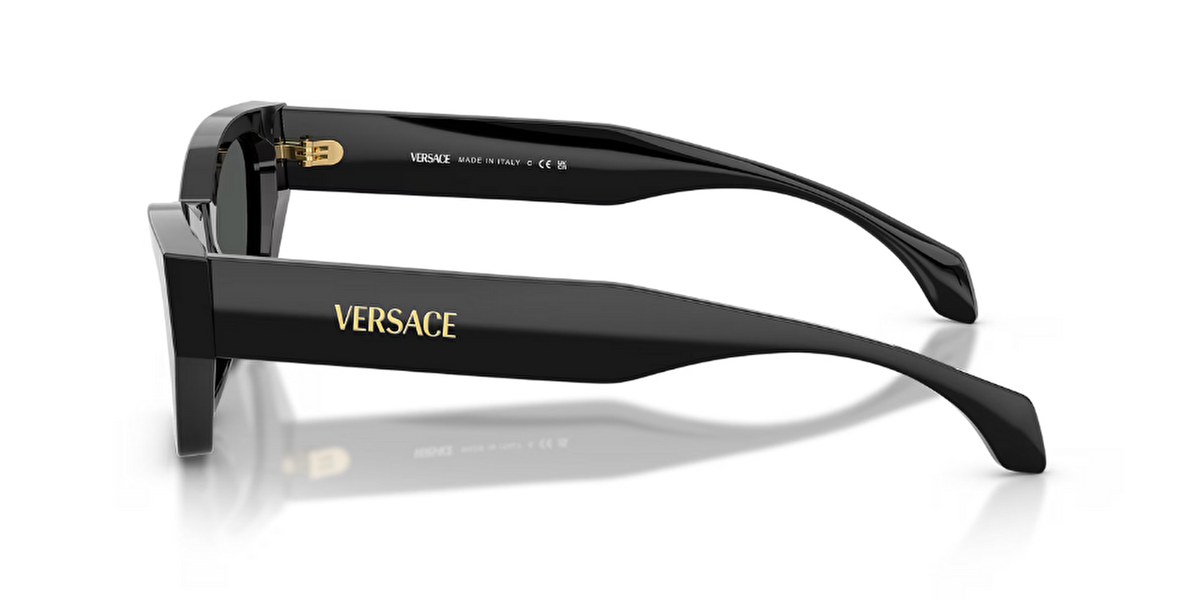 VERSACE VE4488U Güneş Gözlüğü