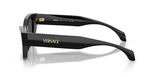 VERSACE VE4488U Güneş Gözlüğü