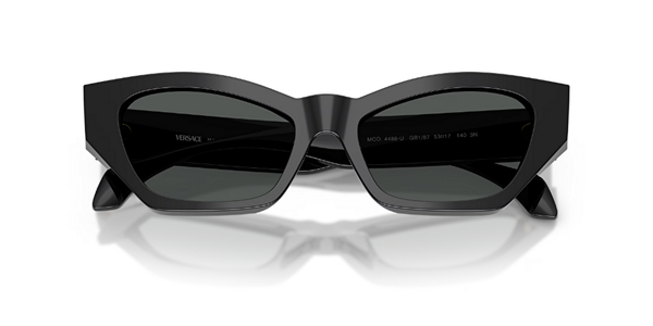 VERSACE VE4488U Güneş Gözlüğü